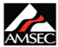 AMSEC logo